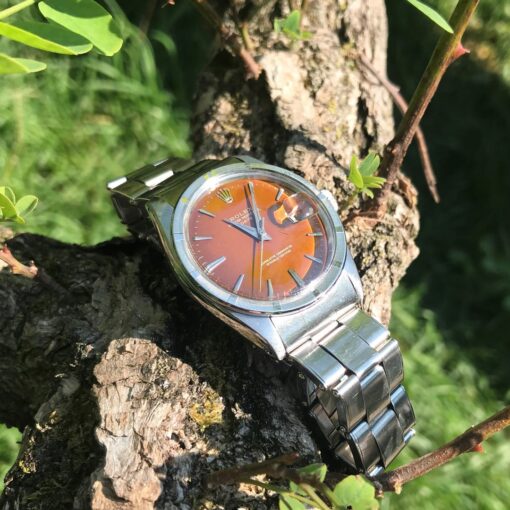 1501 tropical Date – Bild 2