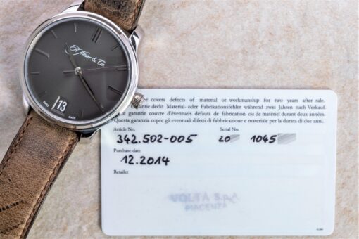 Platinum Moser & Cie Big Date (full set / grey dial) – Bild 5